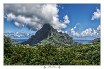 Rotui