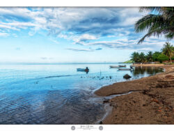 Haapiti